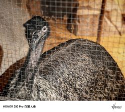 -酷嗒动物文化乐园(cutezoo西溪乐天城店)