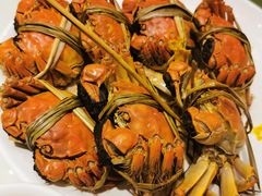 -海鲜城大家餐厅