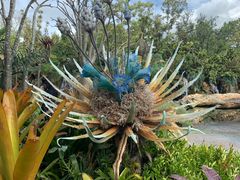 -奥兰多迪士尼动物王国乐园