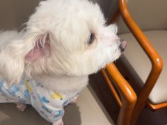 -将军烧鹅海鲜酒楼