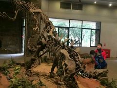 -自贡恐龙博物馆