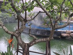 -厦门日月谷温泉渡假村