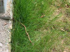 -楠溪江风景名胜区