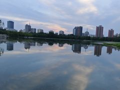 -莲花池公园