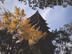 -常熟方塔园