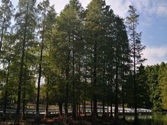 -白塘生态植物园