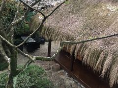 -中国茶叶博物馆(双峰馆区)
