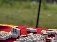 -栖露营camping·天幕烧烤·团建拓展·采摘营地
