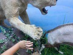 -西霞口神雕山野生动物世界