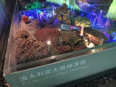 -中国湿地博物馆
