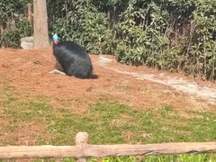 -上海野生动物园