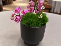 -三利音·浦之舟(滨江大道店)