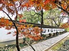 -上海佘山国家森林公园天马山园