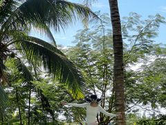 -海南清水湾莱佛士酒店