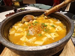 石锅海胆焗豆腐-湖鱼湖·蓉亭食贝(亚运村店)