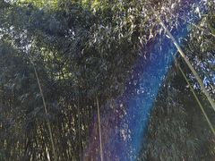-栾川竹海野生动物园