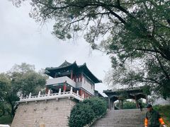 -龙沙公园