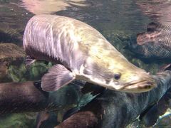 -太平洋海底世界