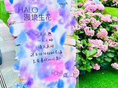 -HALO广场(梨园路店)