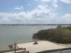 -宝安西湾红树林湿地公园