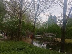 -群力丁香公园