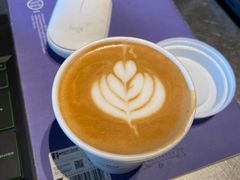 -Seesaw Coffee(朝阳大悦城店)