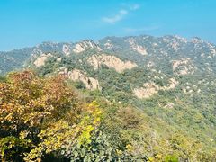 -大岭沟猕猴桃谷风景区