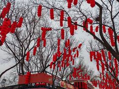 -北京石景山游乐园