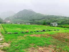 -蓝天飞扬飞行基地