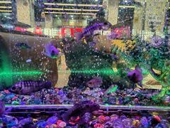 -新辉港式茶餐厅(北栅店)