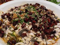 -三猫黑鱼花(南大店)