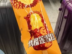 -沈阳南站