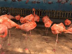 -鄂尔多斯野生动物园