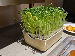 -海底捞火锅(枫蓝国际购物中心店)