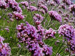 -杭州城北体育公园