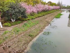 -诺贝尔湖公园