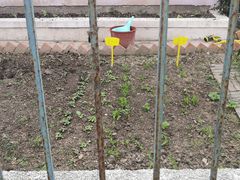 -紫薇实验幼儿园(桂平路校区)