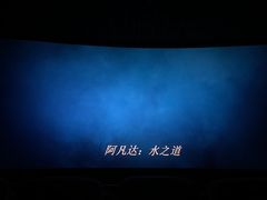 -万象影城(石家庄万象城IMAX激光店)