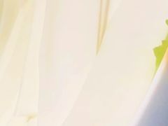 -蜀江龙火锅(339店)
