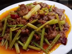 -正蓝旗草原特蒙餐