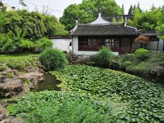 -上海醉白池公园