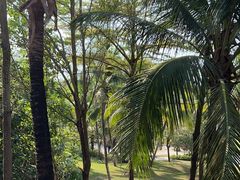 -海南清水湾莱佛士酒店