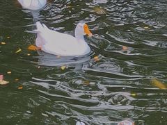 -苏州碑刻博物馆