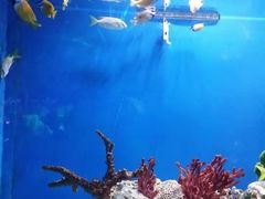 -海合安武汉极地海洋公园