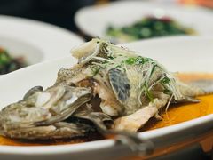 清蒸老虎斑-骏莱海鲜鱼港(五角场店)