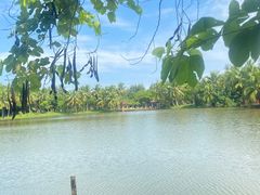 -白沙门生态公园