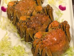 -七菜馆·东北菜·蒸饺(文体路店)