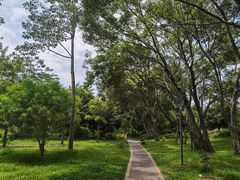 -福田红树林生态公园