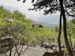 -北京水岸山吧度假村(雁栖镇店)
