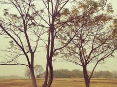 -盘龙城国家考古遗址公园